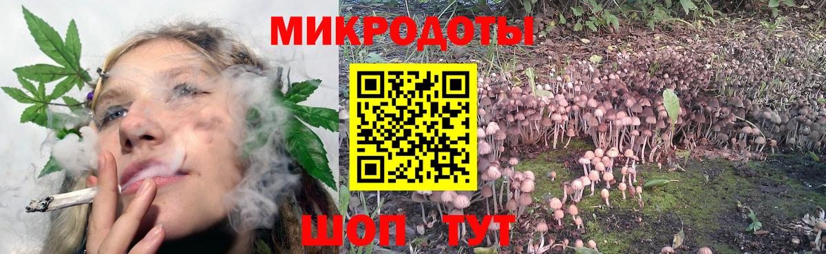 Галлюциногенные грибы мухоморы Чебаркуль