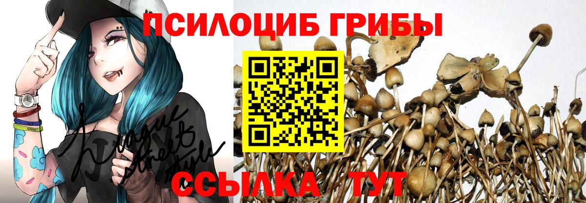 Галлюциногенные грибы Magic Shrooms  Вход с VPN  Чебаркуль 